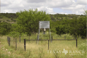 ranch sale, 1150 Acres, Kinney County ranch, image 7