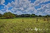 483 acres Lampasas image 43