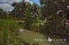 483 acres Lampasas image 44