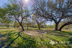 Property Photo 59