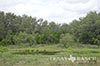 928 acres Medina image 33