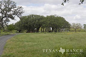 Property Photo 38