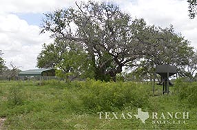 Property Photo 42