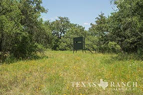 Property Photo 51