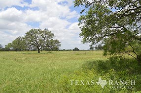 Property Photo 56