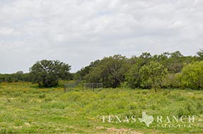 Property Photo 57