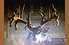 928 acres Medina whitetail buck image 6