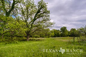 Property Photo 55