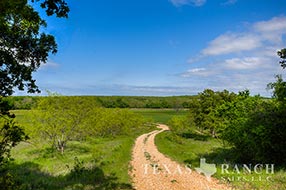 Property Photo 64